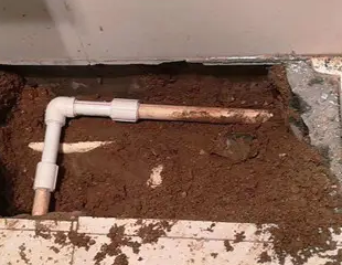 隆化测漏水哪家好