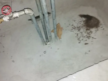 隆化卫生间测漏水价格明细